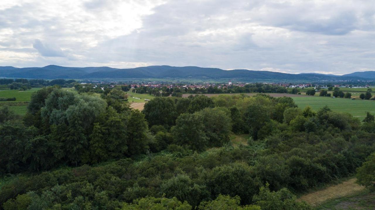 Ferienhaus Lenchen Niederkirchen bei Deidesheim Екстериор снимка